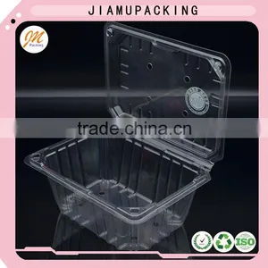 Cheap Custom Plastic Food Storage Container thumbnail-5