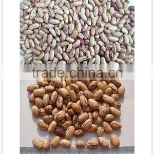 Kidney Beans New Crop; thumbnail-1