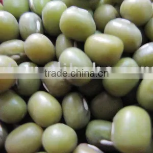 Green Mung Beans/green Bean thumbnail-1