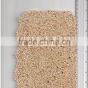 WHITE SORGHUM thumbnail-3