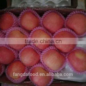 Fresh China New Crop of Fuji Apples/cold Room Goods thumbnail-1