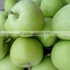 Fresh Green Apples thumbnail-1