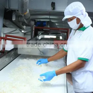 DESICCATED COCONUT HIGH FAT FINE GRADE - Premium Quality thumbnail-3