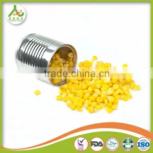 Frozen Canned Sweet Corn thumbnail-2