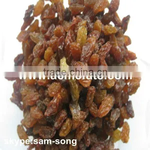 AAA Grade 95% Xinjiang Brown Raisin thumbnail-1