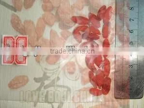 2013 New Crop GOJI BERRIES thumbnail-2