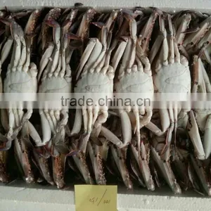 Wholesale Frozen Blue Swimming Crab Price thumbnail-1