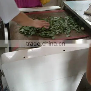 Continuous Working Microwave Eucommiae Tea Dryer and Sterilization Processing Equipment thumbnail-2