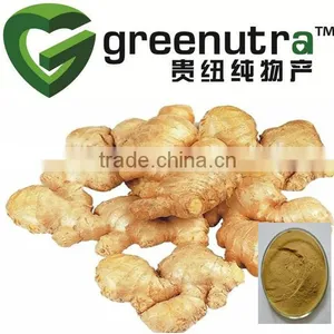 Ginger Extract thumbnail-1