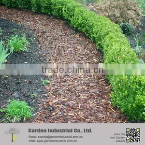 Gardening Landscaping Pine Bark Mulching thumbnail-5