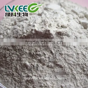 Bio Bacillus Bacillus Laterosporus Used for Agriculture thumbnail-2