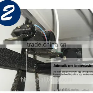 Hot Selling CE Marked HHD Brand Automatic Egg Incubator Hatching Machine for Sale YZITE-17 thumbnail-4