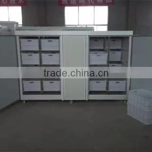 Hot Sale Green Mung Bean Sprout Machine thumbnail-4