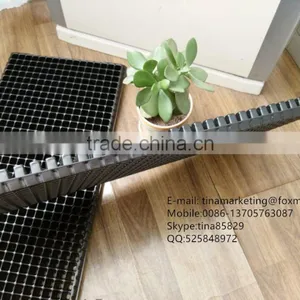 512 Cell Black HIPS Plastic Nursery Seed Propagator Tray, Plastic Plant Seedling Trays China Manufactory Price thumbnail-5