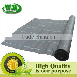 Agricultural Black Plastic Ground Cover thumbnail-3