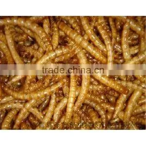 Application for Small Animals Dehydrated Mealworm Reptile Food, Mealworm Chicken Feed thumbnail-2