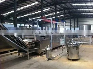 Continuous Automatic Fryer Fit for Frying Snack Pellet, Potato Chips thumbnail-1