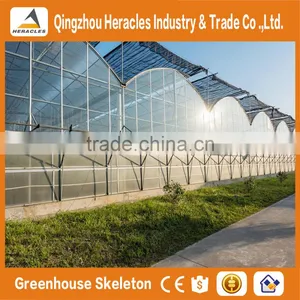Heracles Trade Assurance Commercial Hydroponics Greenhouse thumbnail-5
