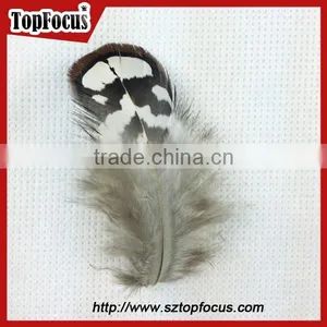 Hot Sale Dyed Wholesale Natural Cheap Artificial Pheasant Feathers Prices thumbnail-3