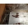 Compress Mould thumbnail-2