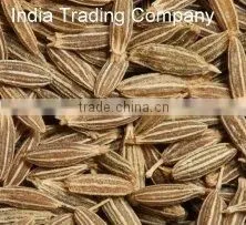 Cumin Seed thumbnail-1