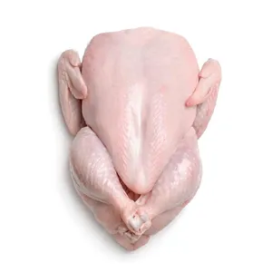 Premium Grade Halal Whole Chicken at Best Price thumbnail-3