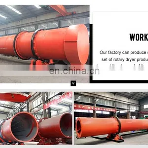 Multifunction Agriculture Dryer for Sawdust, Chicken Manure, Wood Chips, Etc thumbnail-4