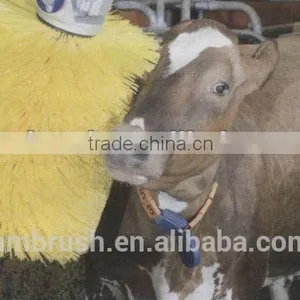 Popular Cow Cattle Brush With Good Cleaning Brush thumbnail-1
