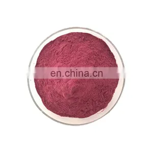Freeze Dried Red Pink Pitaya Fruit Powder thumbnail-3