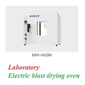 Laboratory Electric Blast Drying Oven thumbnail-5