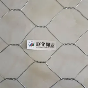 Lianqi Network Industry Galvanized Wire Mesh Gabions for River Engineering, Hot-dip Galvanized Wire Mesh Gabions, Gabion Stone Baskets for River Bank Protection thumbnail-4