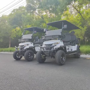 New Electric Golf Cart, Tourist Sightseeing Vehicle, Electric Four-wheel Vehicle With Quality Guarantee thumbnail-5
