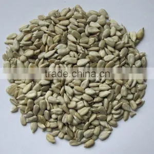 New Sunflower Seed Kernel thumbnail-1