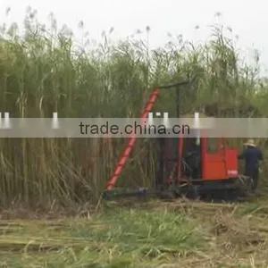 Reeds Cutting Machine Reeds Harvesting Machine/harvester thumbnail-1