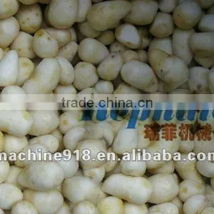 2012 New Design Sweet Potato Cleaning and Peeling Machine thumbnail-1