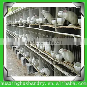 Industrial Rabbit Cages/used Rabbit Cages for Sale/easy Clean Rabbit Cage thumbnail-1