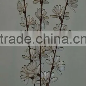 Dry Flower Decoration thumbnail-1