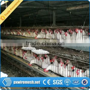 Poultry Chicken House/ Coop for Chicken thumbnail-6