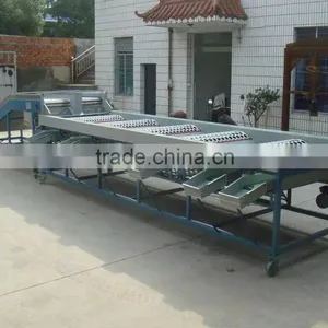 Electronic Fruit Sorting Machine thumbnail-4