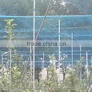 100% PP Plastic Fruit Cage Roof Netting/Fruit Protection Net thumbnail-3