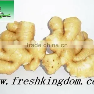 Air Dried Ginger thumbnail-1