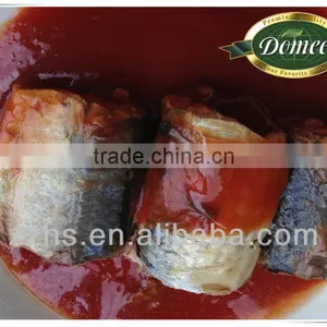 Canned Mackerel From Manufactory thumbnail-1
