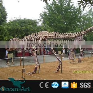 OAV3089 Hot Real Size Dinosaur Bone thumbnail-2