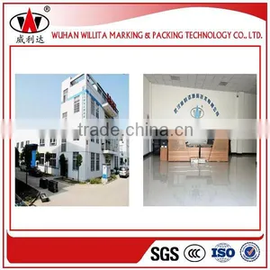 High Speed Automatic Bag Paging Machines for Inkjet Printer Quality Choice thumbnail-5