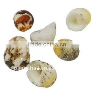 Spiral Shell Beads, Dyed, Multicolor, About 13~17x10~13x7~10mm, Hole: 1mm, About 740pcs/500g(BSHE-S095) thumbnail-1