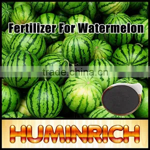 Huminrich Shenyang Insoluble Slow Release SH9001-4 Humic Acid Powder thumbnail-2