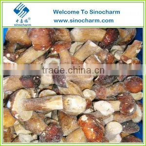 Supply Chinese Frozen Mushroom, IQF Pornici Mushroom thumbnail-5
