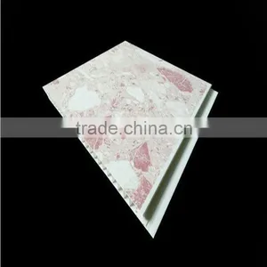 Bathroom Ceiling Panel thumbnail-1