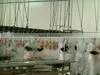 Poultry Chicken Automatic Eviscerating Line, Evisceration Line for Poultry Goose Duck Broiler Chicken Slaughterhouse thumbnail-2