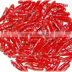 Tianying Chilli thumbnail-1